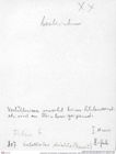 Historisches Foto (Rückseite) von Mesogalathea striata (Remeš, 1895) (NHMW-AFW-GEO-BACHMAYER-FOTO-1990-0041-0807)